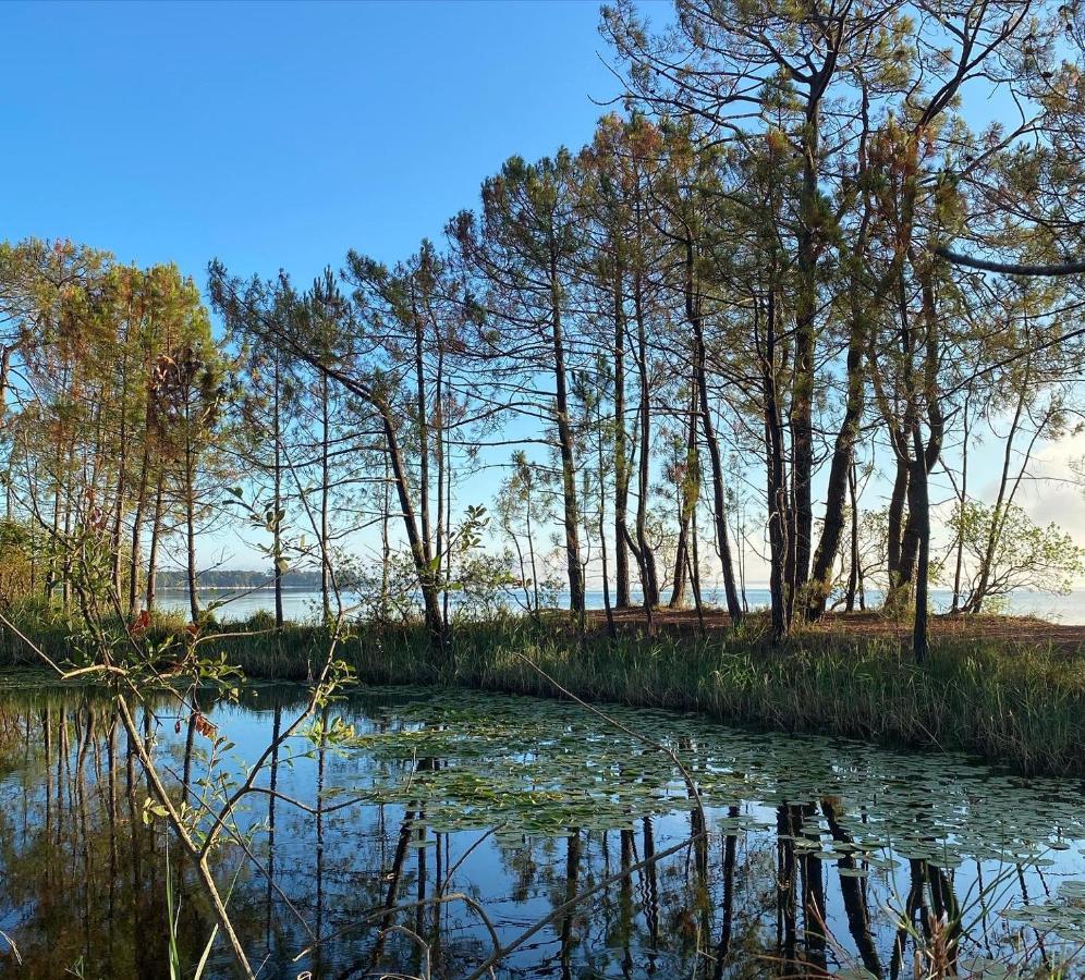 Apt Les Grands Pins, Entre Foret, Lac Et Ocean Каркан Экстерьер фото