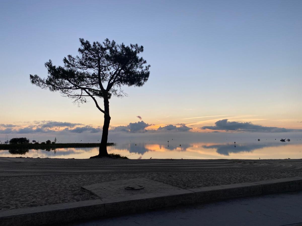 Apt Les Grands Pins, Entre Foret, Lac Et Ocean Каркан Экстерьер фото